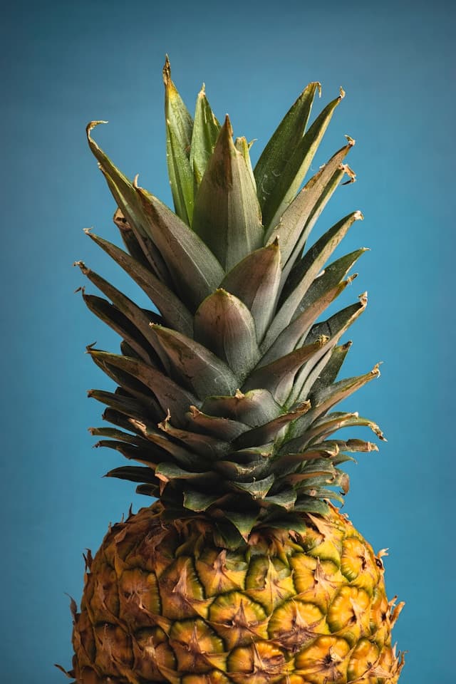 Piña de J&HBANEXPORT